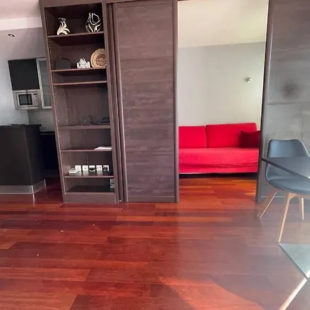 Grand Studio A Deux Pas Des Champs Elysees
